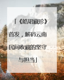 《皓珺藏珍》首发，解码云南民间收藏的坚守与担当
