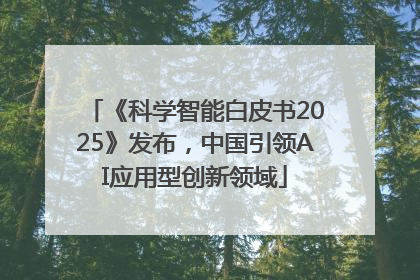 《科学智能白皮书2025》发布，中国引领AI应用型创新领域