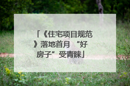 《住宅项目规范》落地首月 “好房子”受青睐