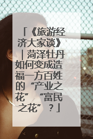 《旅游经济大家谈》｜菏泽牡丹如何变成造福一方百姓的“产业之花”“富民之花”？