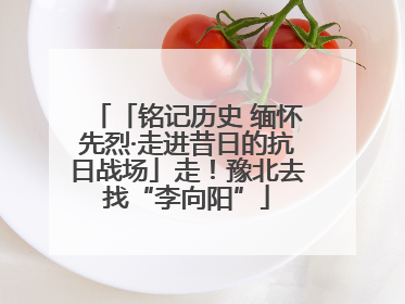 「铭记历史 缅怀先烈·走进昔日的抗日战场」走！豫北去找“李向阳”