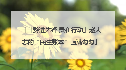 「黔进先锋·贵在行动」赵大志的“民生账本”画满勾勾