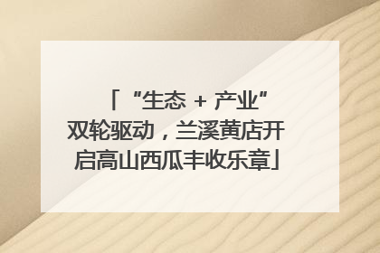 “生态 + 产业”双轮驱动，兰溪黄店开启高山西瓜丰收乐章