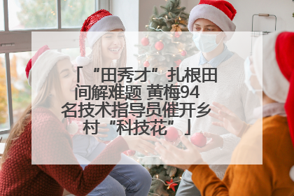 “田秀才”扎根田间解难题 黄梅94名技术指导员催开乡村“科技花”