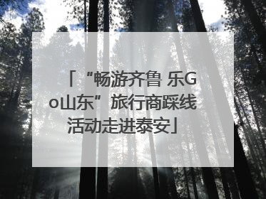 “畅游齐鲁 乐Go山东”旅行商踩线活动走进泰安