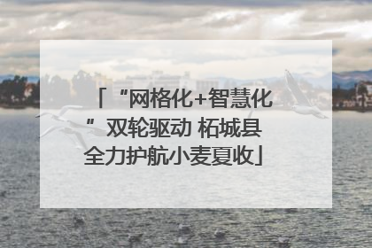 “网格化+智慧化”双轮驱动 柘城县全力护航小麦夏收
