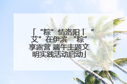 “粽”情洛阳丨“艾”在伊滨 “粽”享露营 端午主题文明实践活动启动