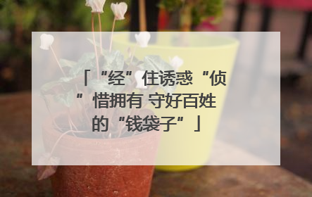 “经”住诱惑“侦”惜拥有 守好百姓的“钱袋子”