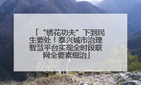 “绣花功夫”下到民生要处！泰兴城市治理智慧平台实现全时段联网全要素细治