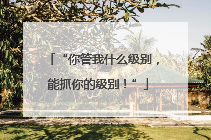 “你管我什么级别,能抓你的级别!”