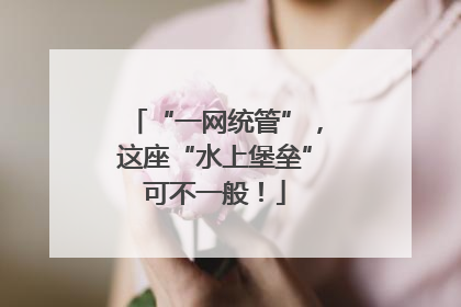 “一网统管”，这座“水上堡垒”可不一般！