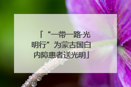 “一带一路·光明行”为蒙古国白内障患者送光明