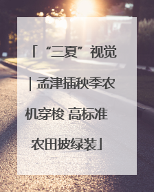 “三夏”视觉｜孟津插秧季农机穿梭 高标准农田披绿装