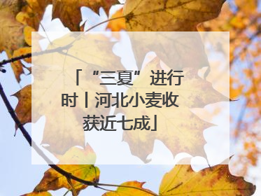 “三夏”进行时丨河北小麦收获近七成