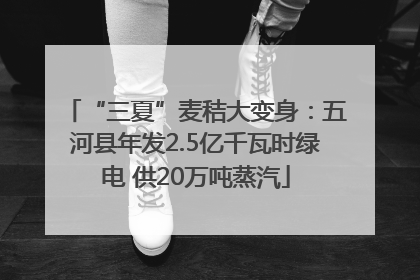 “三夏”麦秸大变身：五河县年发2.5亿千瓦时绿电 供20万吨蒸汽