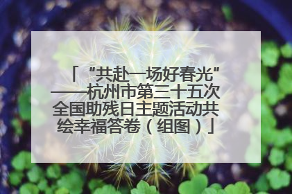 “共赴一场好春光”——杭州市第三十五次全国助残日主题活动共绘幸福答卷（组图）