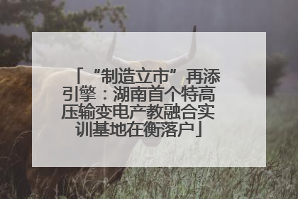 “制造立市”再添引擎：湖南首个特高压输变电产教融合实训基地在衡落户