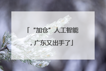 “加仓”人工智能，广东又出手了