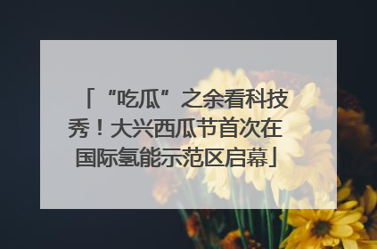 “吃瓜”之余看科技秀！大兴西瓜节首次在国际氢能示范区启幕