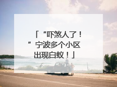 “吓煞人了！”宁波多个小区出现白蚁！