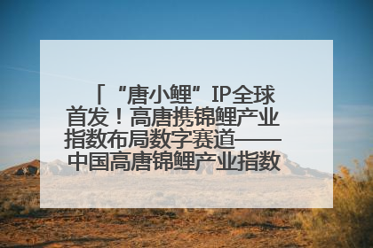 “唐小鲤”IP全球首发！高唐携锦鲤产业指数布局数字赛道——中国高唐锦鲤产业指数暨“唐小鲤”IP全球首发仪式在杭州举行