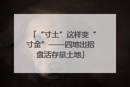 “寸土”这样变“寸金”——四地出招盘活存量土地