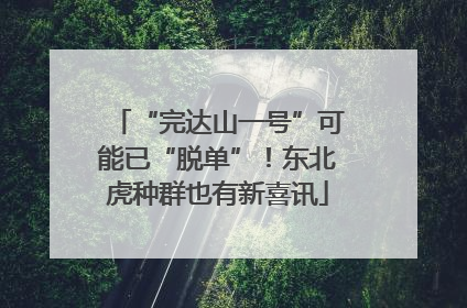“完达山一号”可能已“脱单”！东北虎种群也有新喜讯
