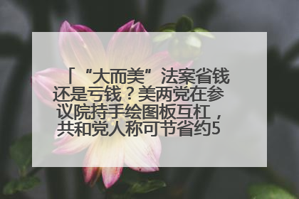 “大而美”法案省钱还是亏钱？美两党在参议院持手绘图板互杠，共和党人称可节省约5000亿美元，民主党人称将增加4.45万亿美元赤字