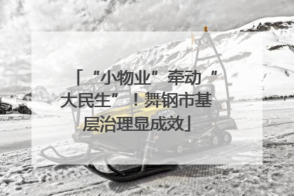 “小物业”牵动“大民生”！舞钢市基层治理显成效