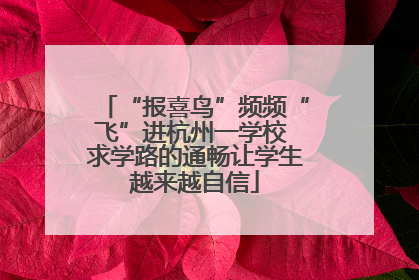 “报喜鸟”频频“飞”进杭州一学校 求学路的通畅让学生越来越自信
