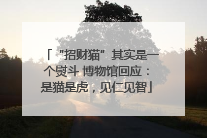 “招财猫”其实是一个熨斗 博物馆回应：是猫是虎，见仁见智