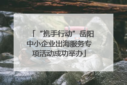 “携手行动”岳阳中小企业出海服务专项活动成功举办