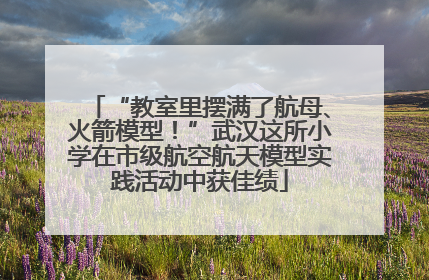 “教室里摆满了航母、火箭模型！”武汉这所小学在市级航空航天模型实践活动中获佳绩