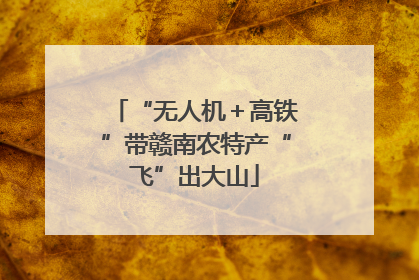 “无人机＋高铁”带赣南农特产“飞”出大山
