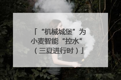 “机械城堡”为小麦智能“控水”（三夏进行时）