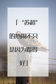 “苏超”的热闹不只是因为踢得好