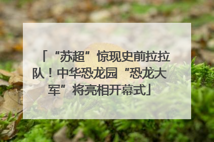 “苏超”惊现史前拉拉队！中华恐龙园“恐龙大军”将亮相开幕式