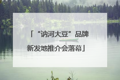 “讷河大豆”品牌新发地推介会落幕