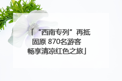 “西南专列”再抵固原 870名游客畅享清凉红色之旅