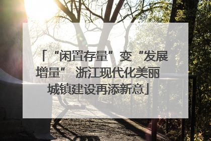 “闲置存量”变“发展增量” 浙江现代化美丽城镇建设再添新意