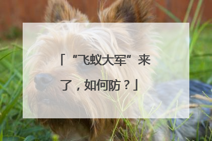 “飞蚁大军”来了，如何防？