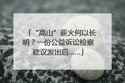 “高山”薪火何以长明？一份公益诉讼检察建议发出后……