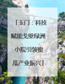 玉门：科技赋能戈壁绿洲 小院引领蜜瓜产业振兴