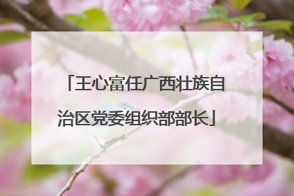 王心富任广西壮族自治区党委组织部部长