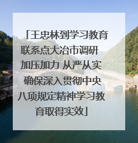 王忠林到学习教育联系点大冶市调研 加压加力 从严从实 确保深入贯彻中央八项规定精神学习教育取得实效