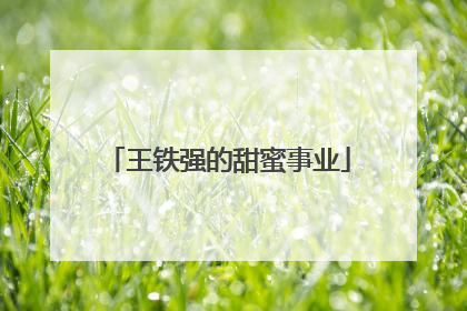 王铁强的甜蜜事业