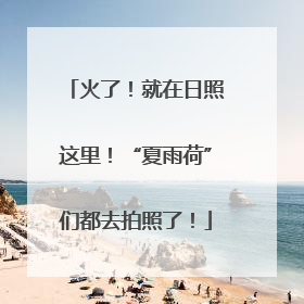 火了！就在日照这里！“夏雨荷”们都去拍照了！
