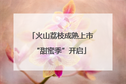 火山荔枝成熟上市 “甜蜜季”开启