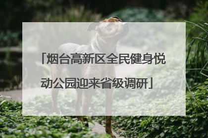 烟台高新区全民健身悦动公园迎来省级调研