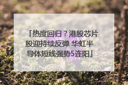 热度回归？港股芯片股迎持续反弹 华虹半导体短线强势5连阳